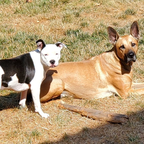 Meet your Posher, lyndsi - Picture 7 of 7